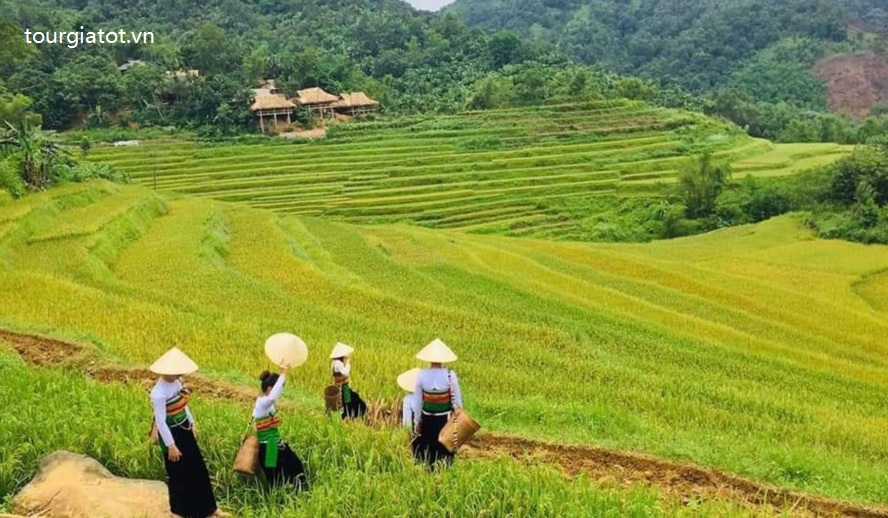 PÙ LUÔNG – SĂN MÂY TÀ XÙA Du Lịch Pù Luông-1