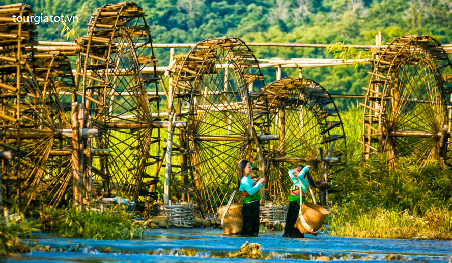 PÙ LUÔNG – SĂN MÂY TÀ XÙA Du Lịch Pù Luông-1