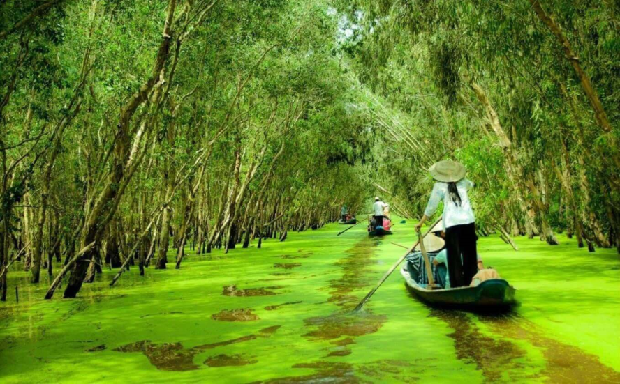 Tour An Giang Mùa Nước Nổi 2N1Đ: Khám Phá Thiên Nhiên Hùng Vĩ Du Lịch An Giang-1