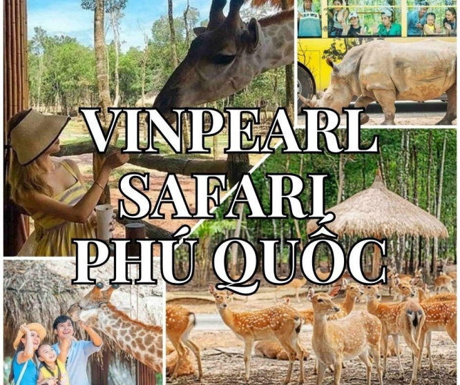 Vinpearl Safari Phú Quốc - Điểm đến triệu niềm vui